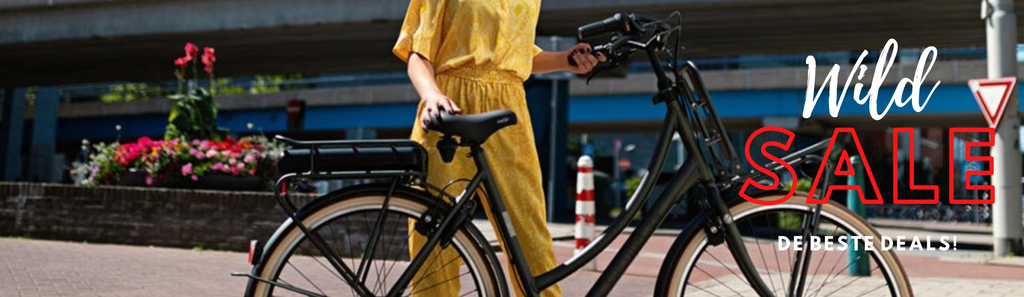 Elektrische Stadsfiets