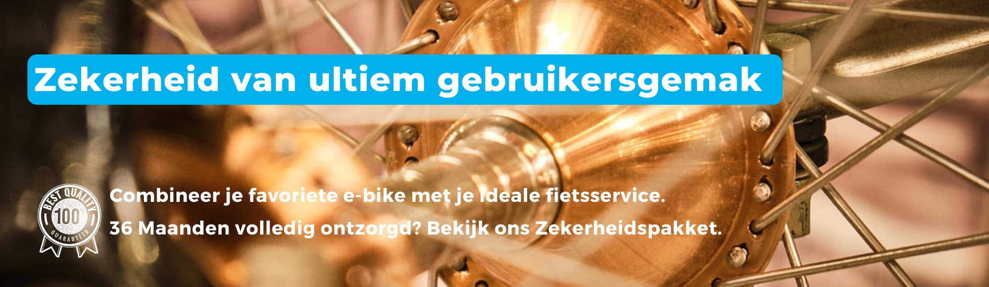 ELEKTRISCHE TRANSPORTFIETS