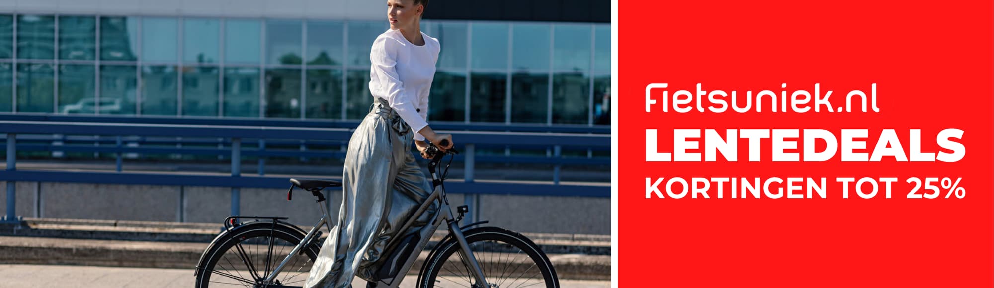 Elektrische Damesfiets