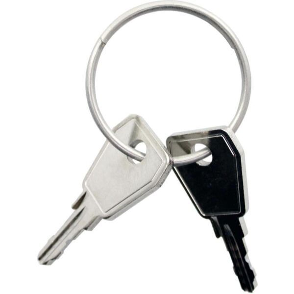 Thule sleutel Yepp Nexxt P6 2 stuks