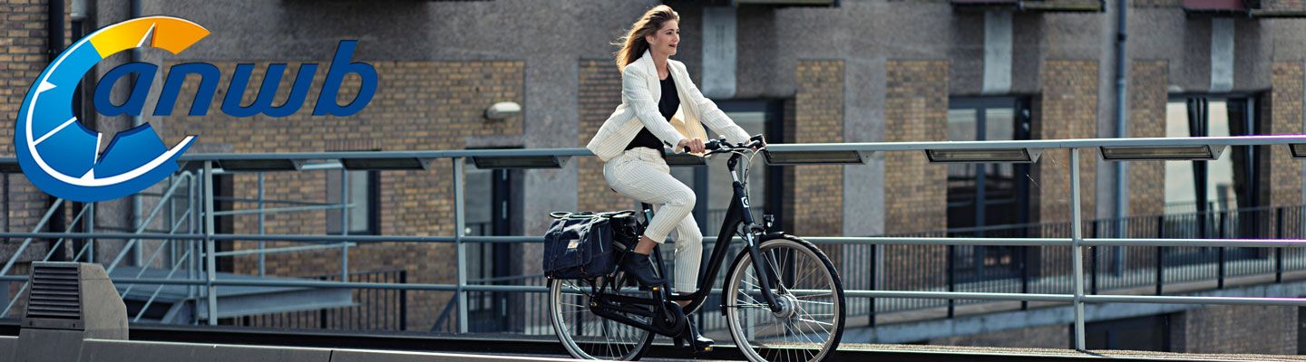 ANWB E-bike test 2018